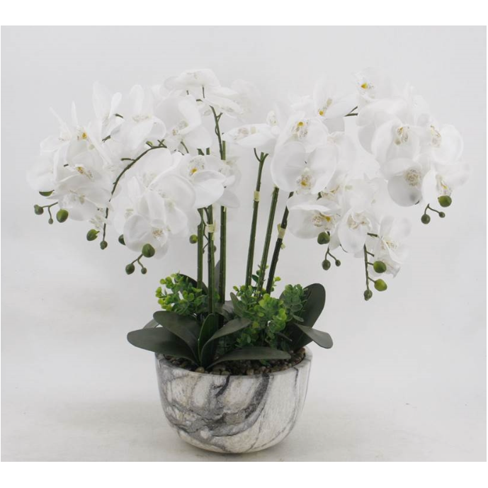 64cm Large White Orchid in Marble Pot