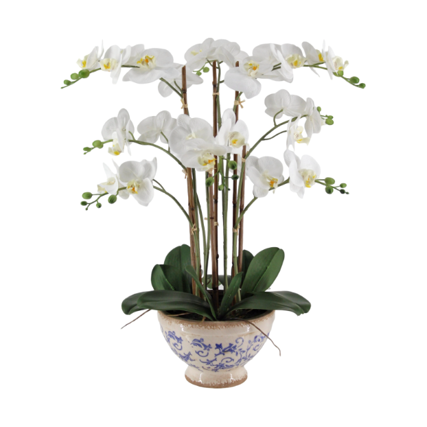 Orchid Pot 72cm