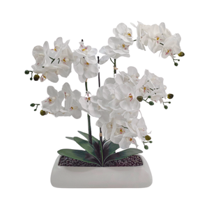 White Orchid in Rectange Ceramic Pot 61*18*56cm