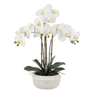 Orchid Pot 57cm