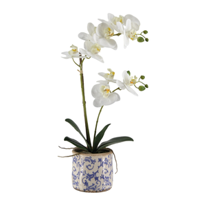 Orchid Pot 53cm