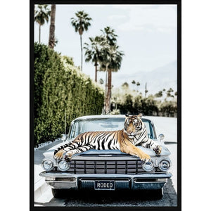 Rodeo Tiger Print on Glass