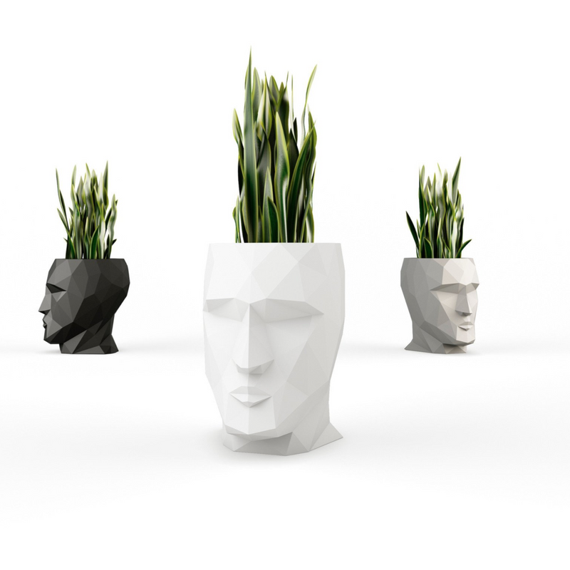 Elevate Your Outdoor Space with Stylish Planters – Daqua Interiors